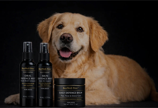 BeeWell Pets
